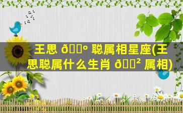 王思 🐺 聪属相星座(王思聪属什么生肖 🌲 属相)